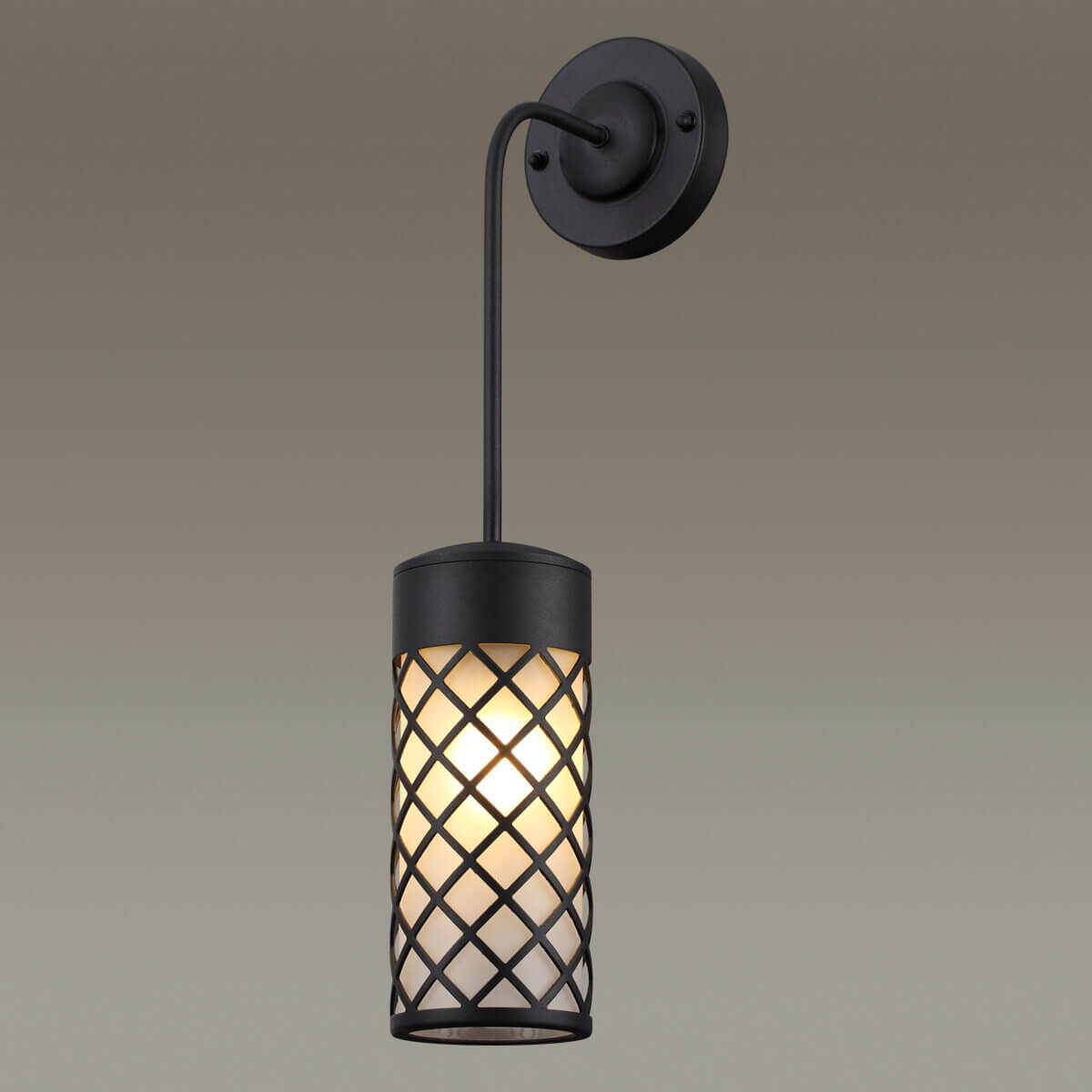Настенный светильник Odeon Light 4834/1W