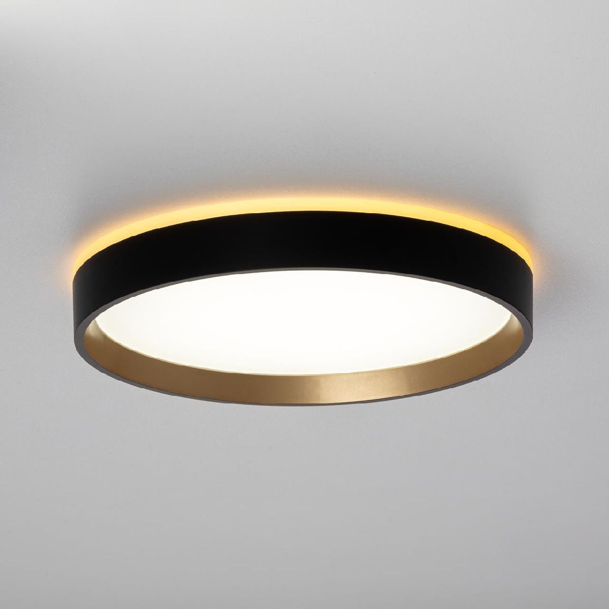 Настенно-потолочный светильник Citilux Etalon CL750241