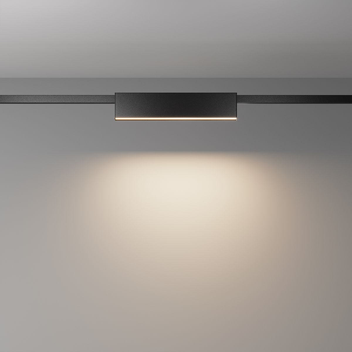 Трековый магнитный светильник Maytoni Basis TR151-1-12W3K-B