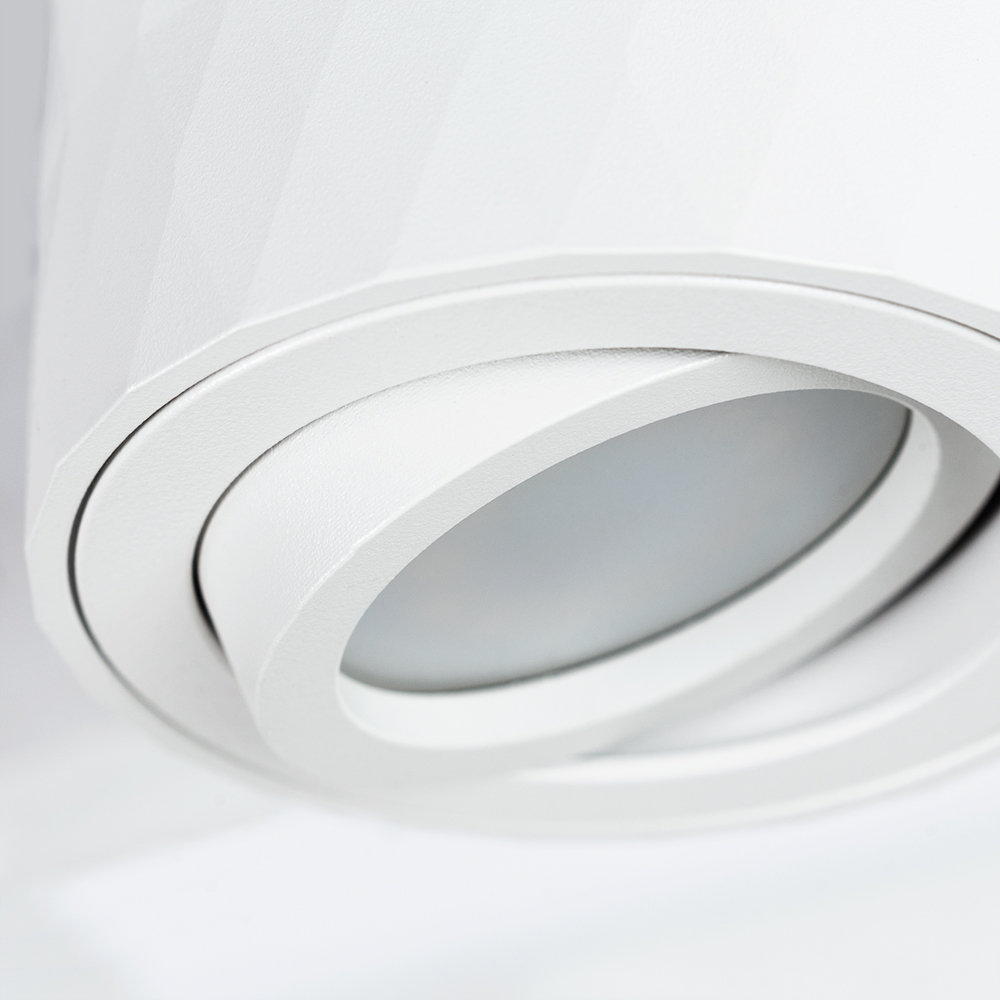 Накладной светильник Arte Lamp Fang A5559PL-1WH