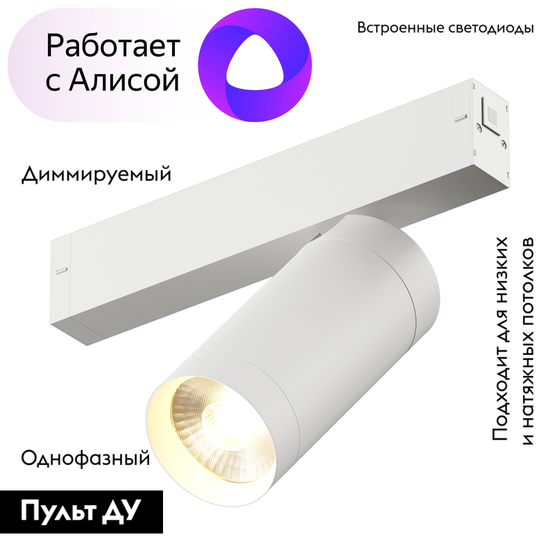 Трековый светильник Denkirs DK8020-WH