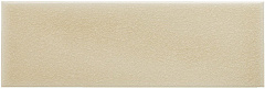 ADEX OCEAN Sand Dollar
