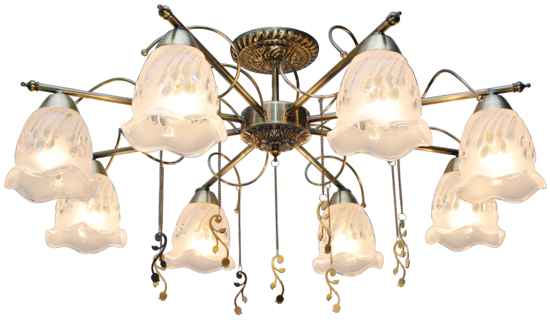Потолочная люстра Toplight Delia TL1195X-08AB