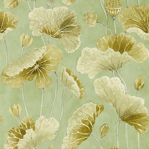 Обои Sanderson DWAW217126 Oriental Green/ Olive Lotus Leaf