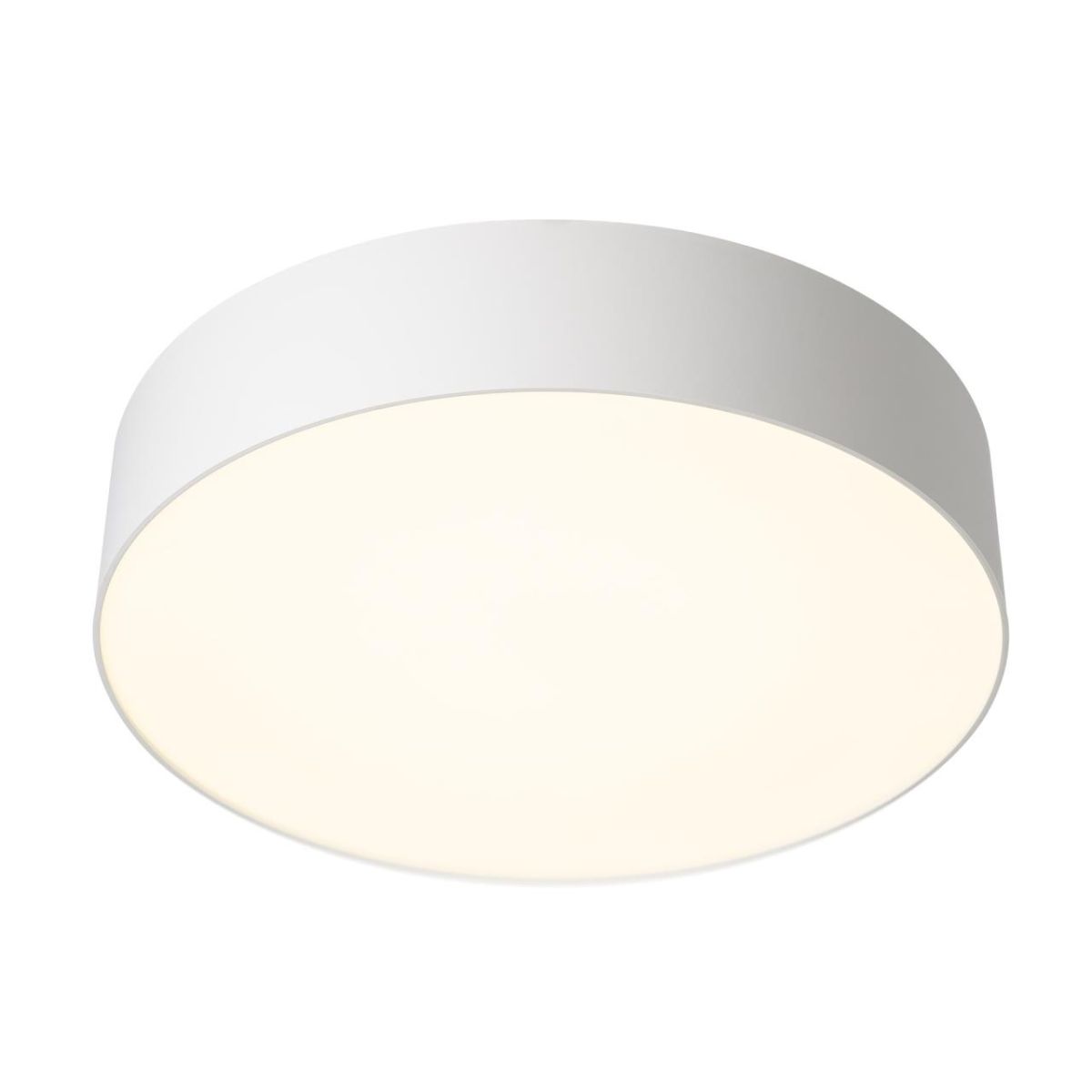 Потолочный светильник Citilux Bart CL755290