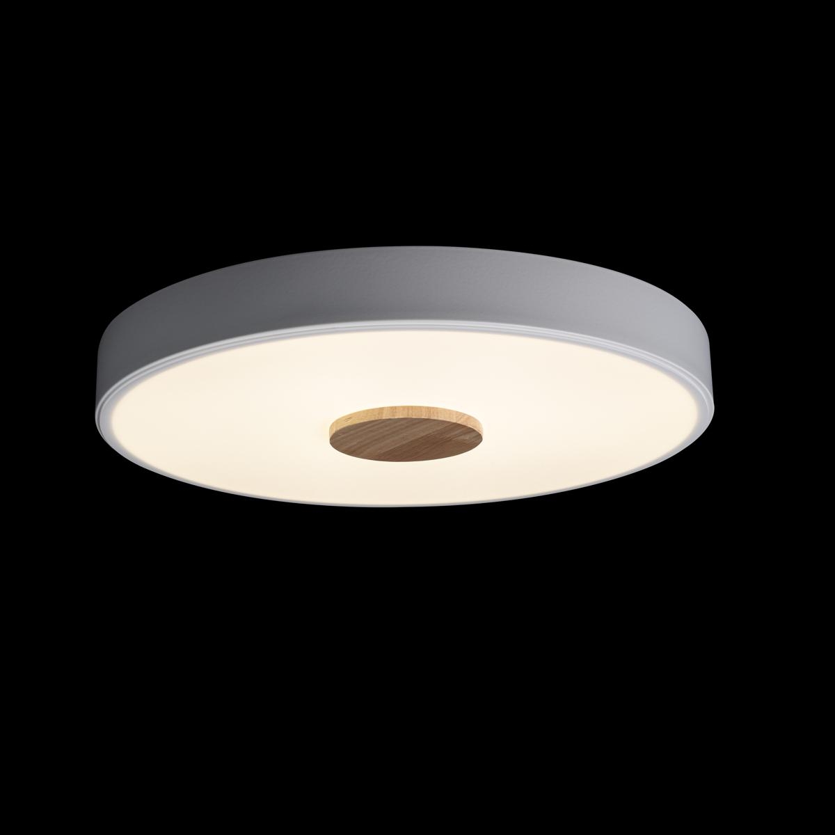 Потолочный светильник Loft IT AXEL 10003/24 White