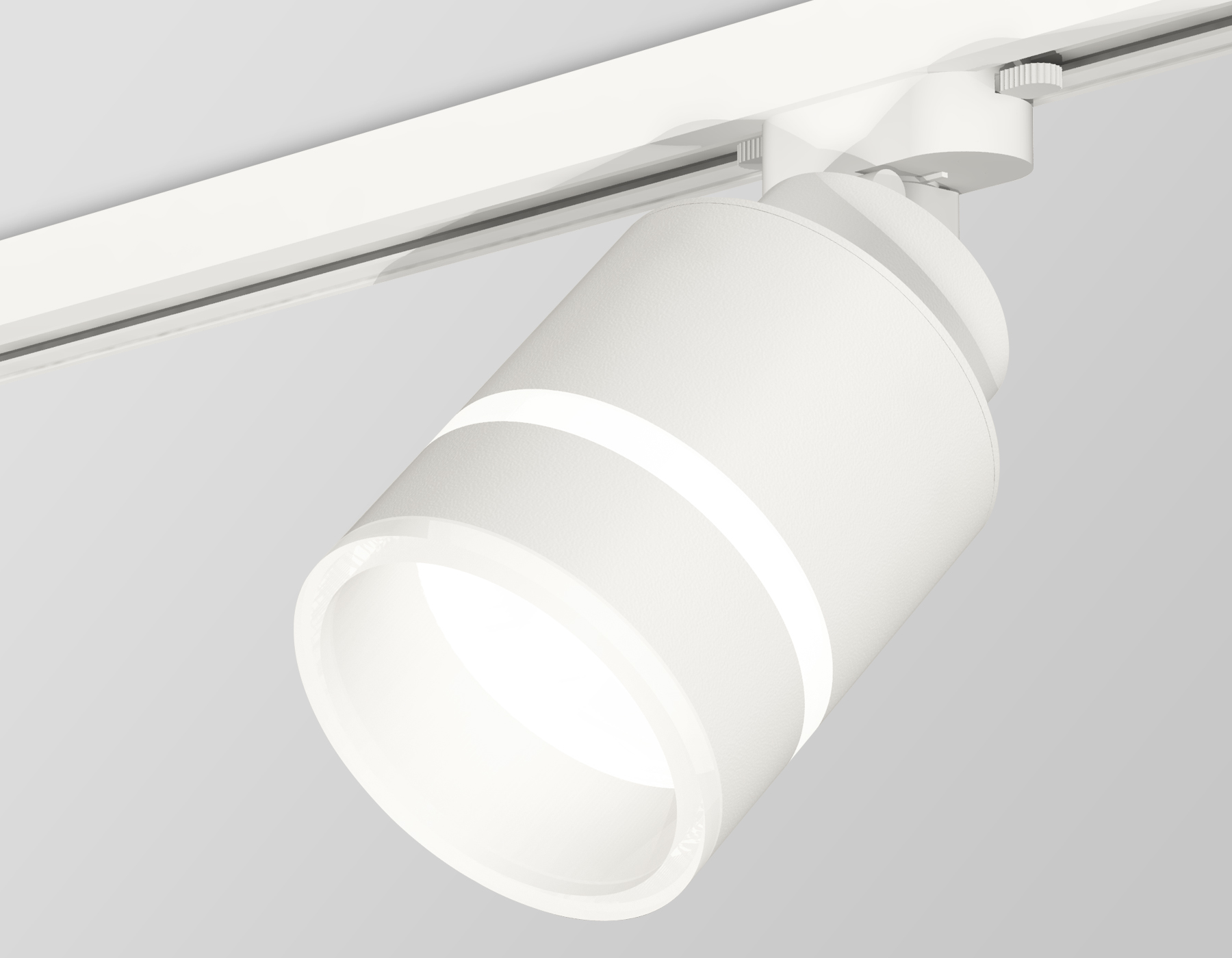 Трековый светильник Ambrella Light Track System XT8110004 (A2524, A2105, C8110, N8444)