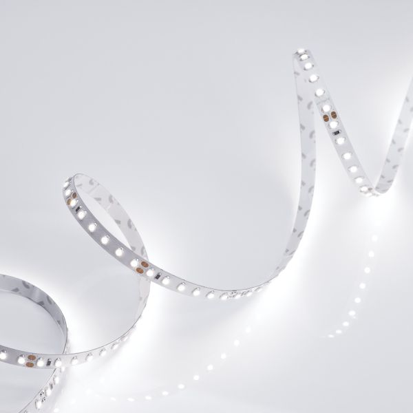 Светодиодная лента Arlight RT-A120-8mm 24V White6000 (9.6 W/m, IP20, 2835, 5m) 010347(2)