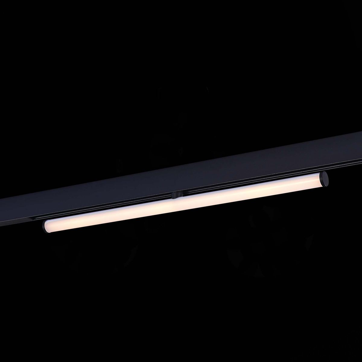 Трековый светодиодный светильник ST Luce Skyline 48 ST803.436.10