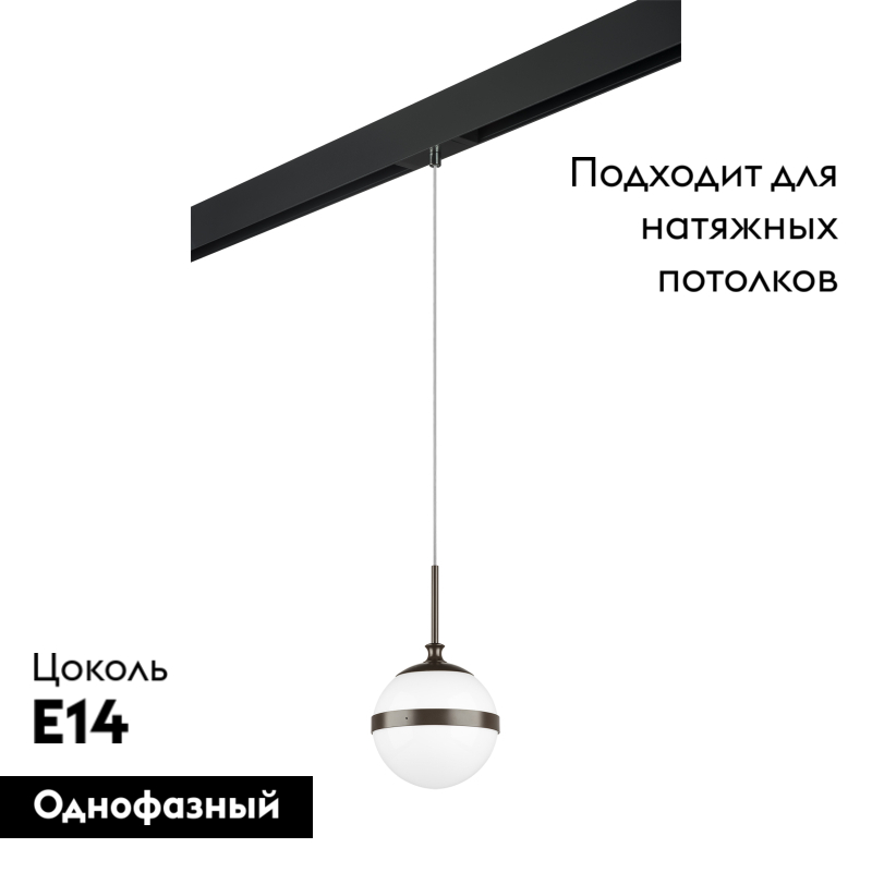 Трековый светильник Lightstar Globo PRO813117 (813117+595007)