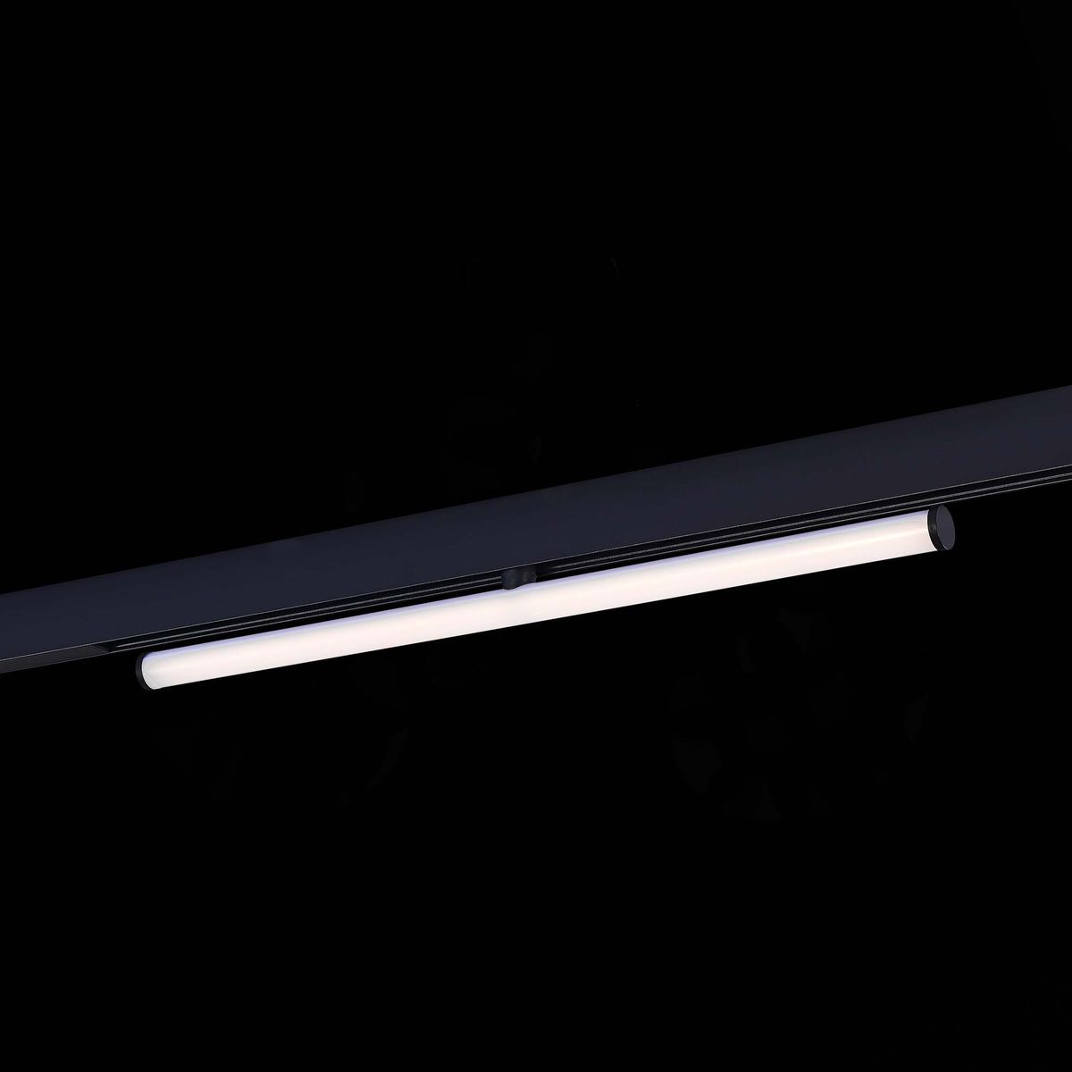Трековый светодиодный светильник ST Luce Skyline 48 ST803.446.10