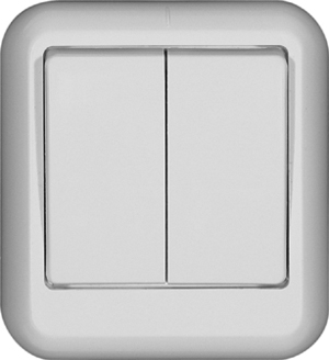 Выключатель 2-клавишный Schneider Electric Прима A56-029-BI