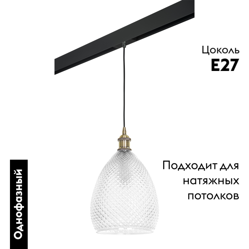 Трековый светильник Lightstar Genni PRO798021 (798021+595007)