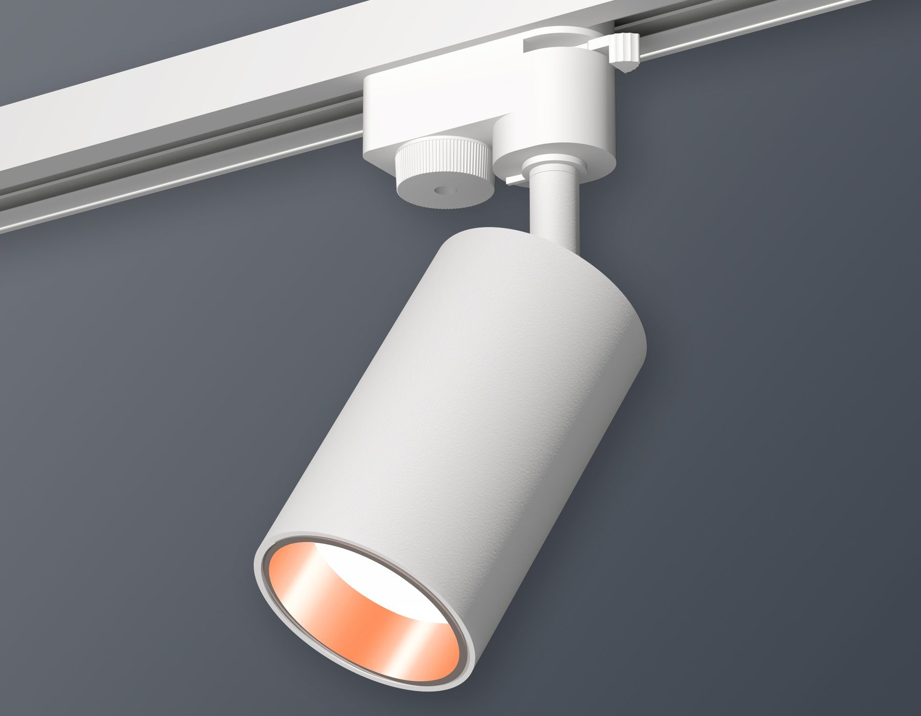 Трековый однофазный светильник Ambrella Light Track System XT6322024 (A2520, C6322, N6114)