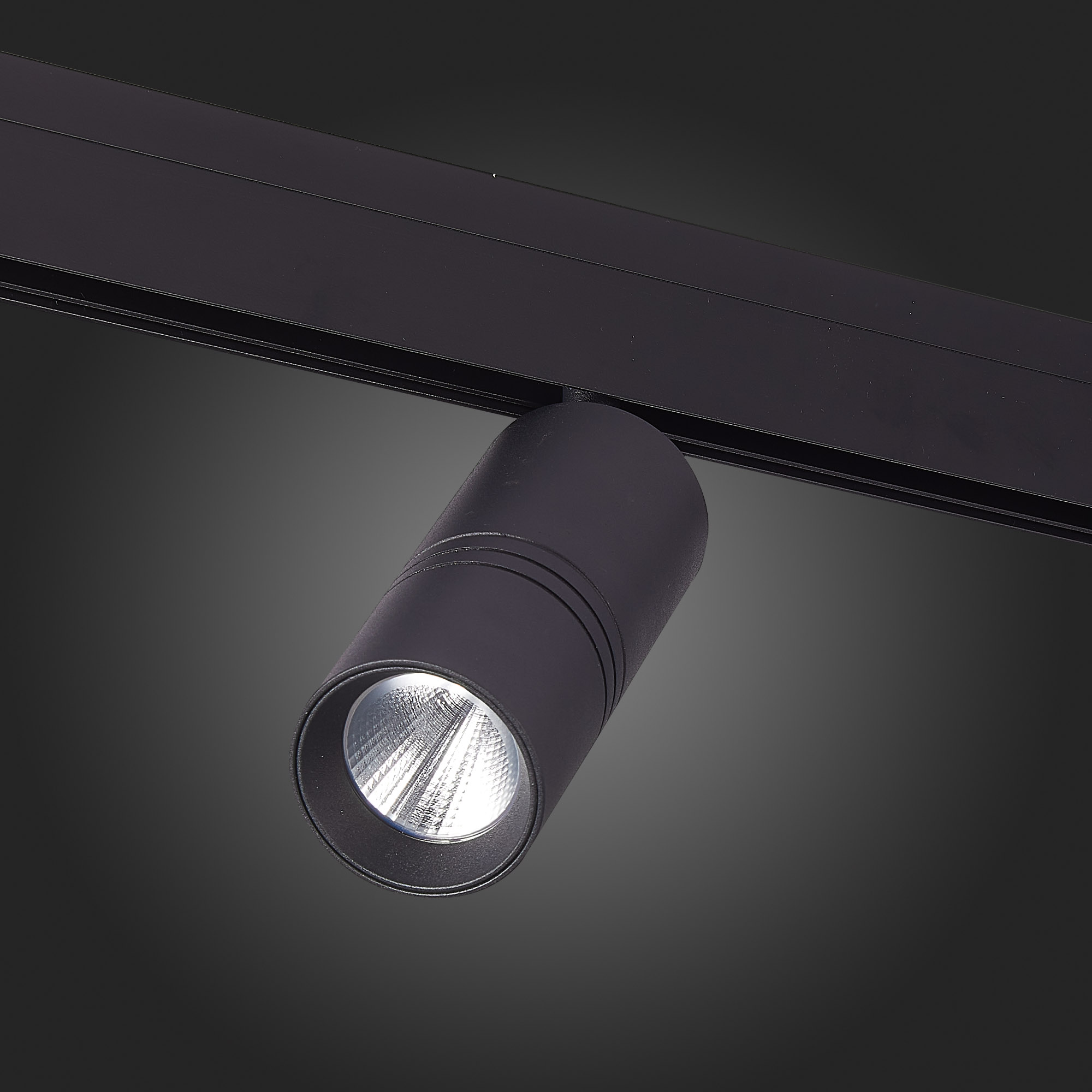 Трековый светильник ST Luce Lemmi ST365.446.18