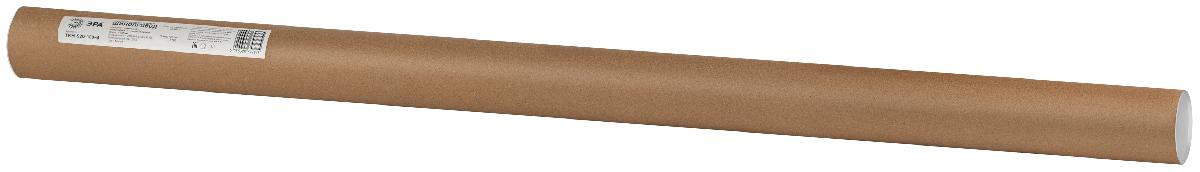 Магнитный трековый шинопровод Эра TRM-S20-100-B Б0054838