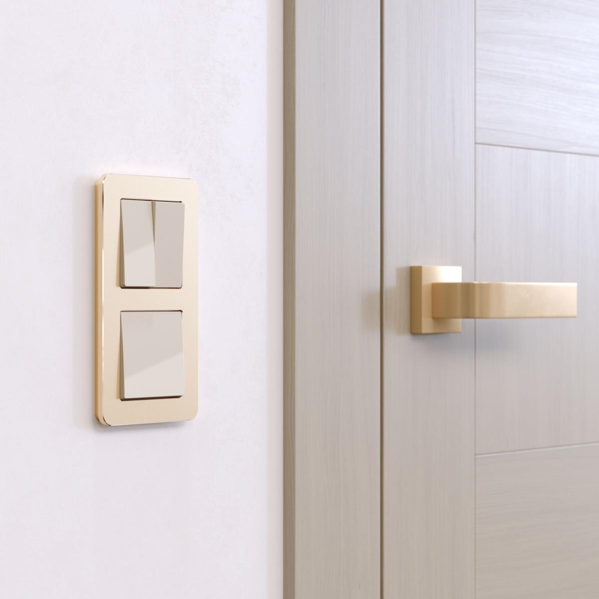 Рамка на 2 поста Werkel Platinum шампань 4690389184468 W0022611