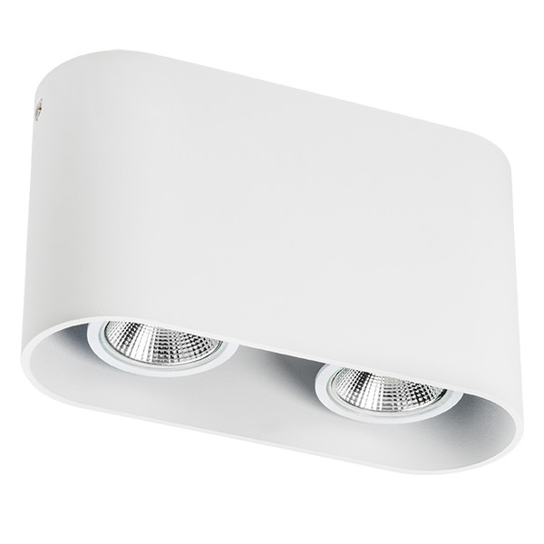 Накладной светильник Lightstar Rullo 214866