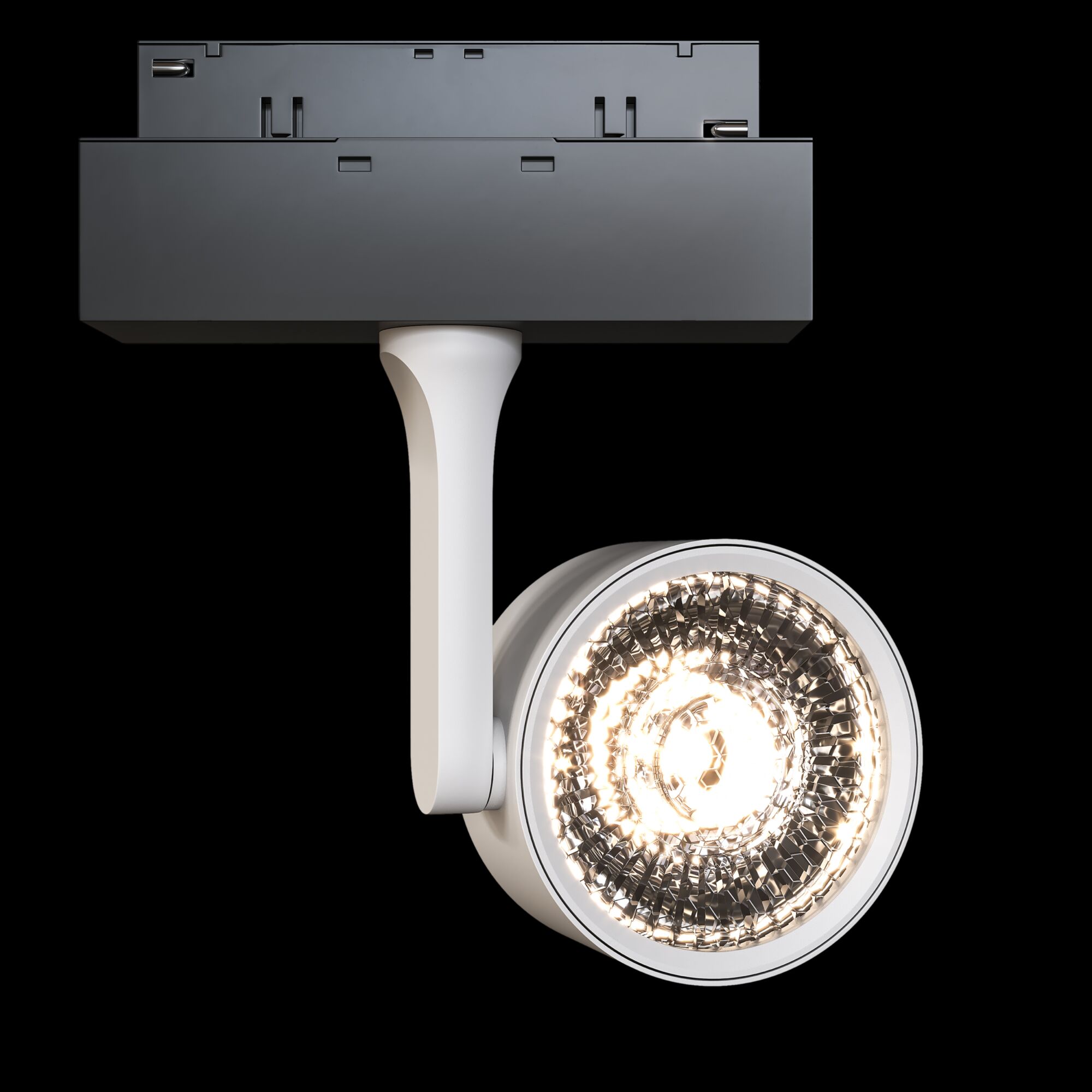 Трековый светильник Maytoni Oko TR024-2-10W3K