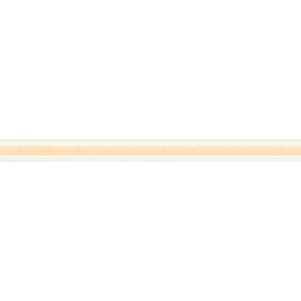 Светодиодная лента герметичная Arlight COB-PL90-X544-12mm 24V Warm2400 032179(2)