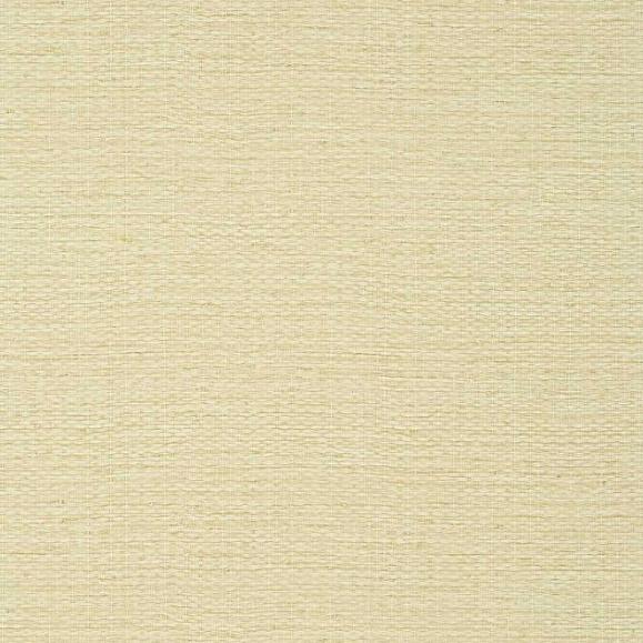 Обои Thibaut TWW10962 Prairie Weave Straw