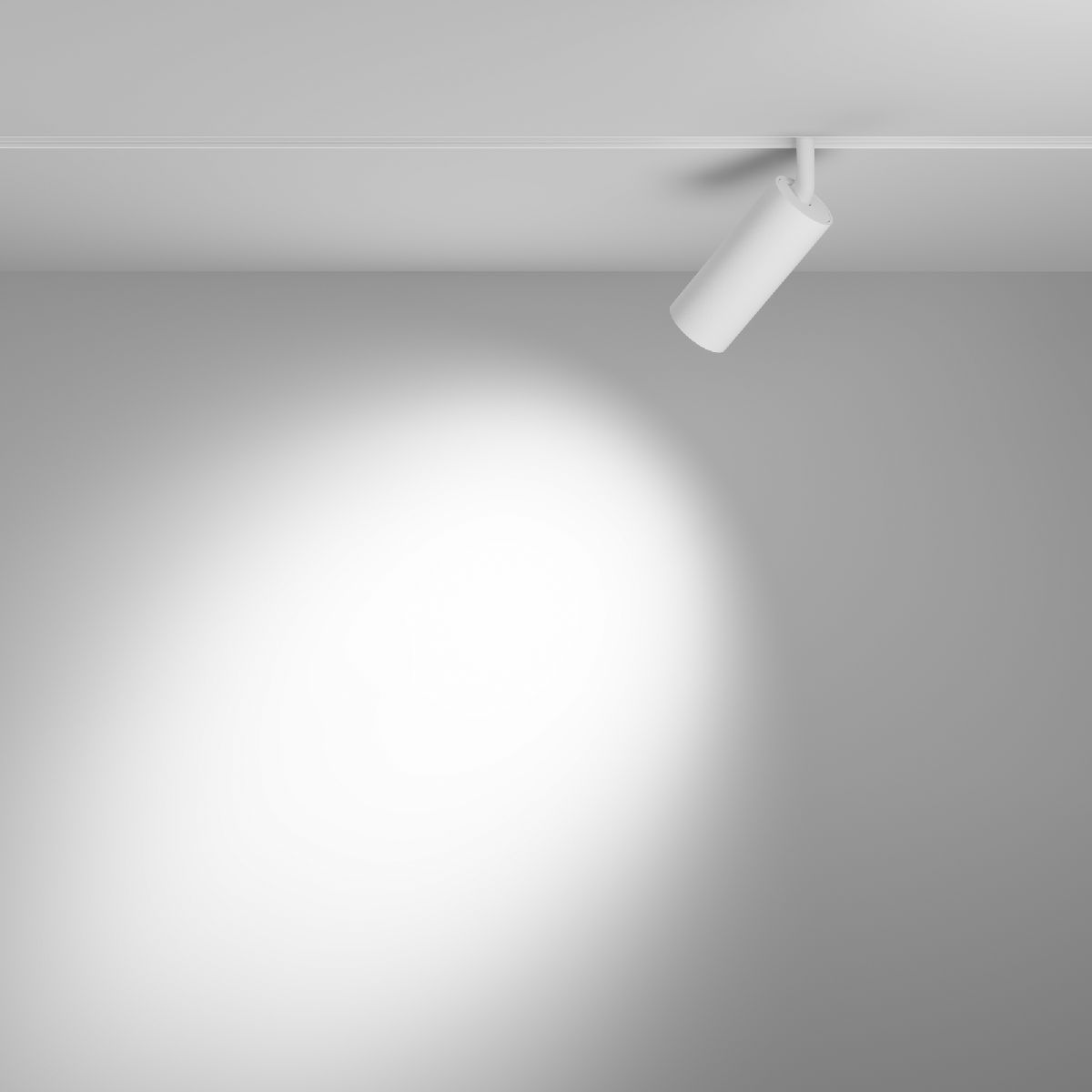 Трековый магнитный светильник Maytoni Focus LED TR032-2-12W3K-S-W