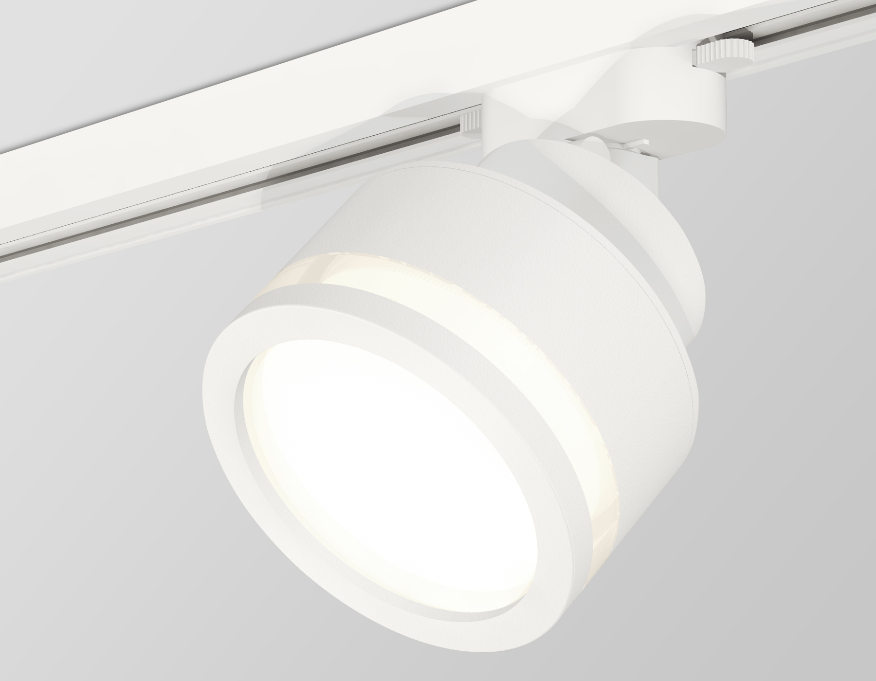Трековый светильник Ambrella Light Track System XT8101022 (A2524, A2105, C8101, N8412)