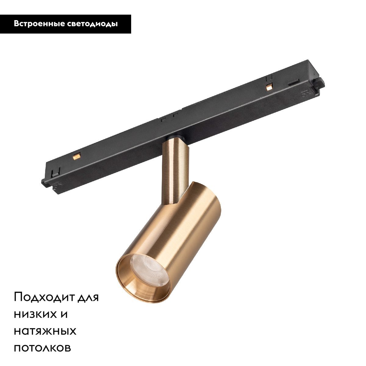 Трековый магнитный светильник Arlight MAG-ORIENT-SPOT-R35-6W Day4000 (GD, 24 deg, 48V) 040886
