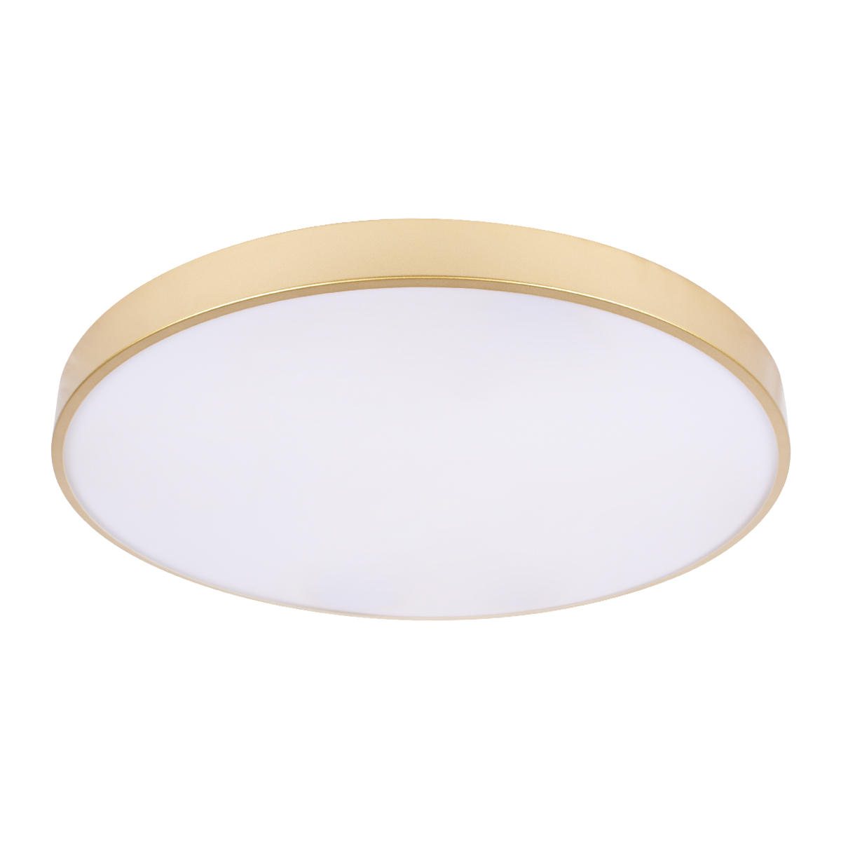 Потолочный светильник Loft IT Flims 10228/B