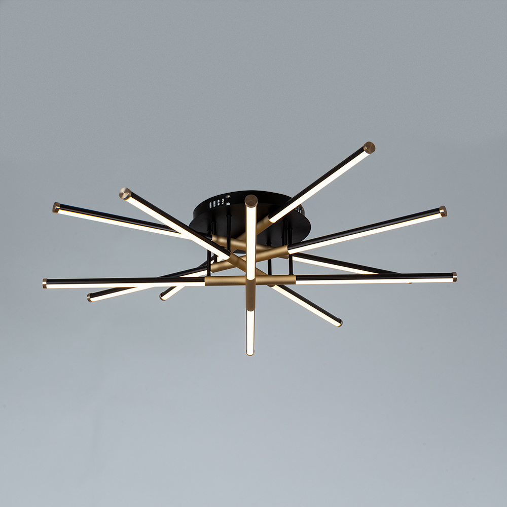 Потолочный светильник Arte Lamp Fernando A2199PL-6BK
