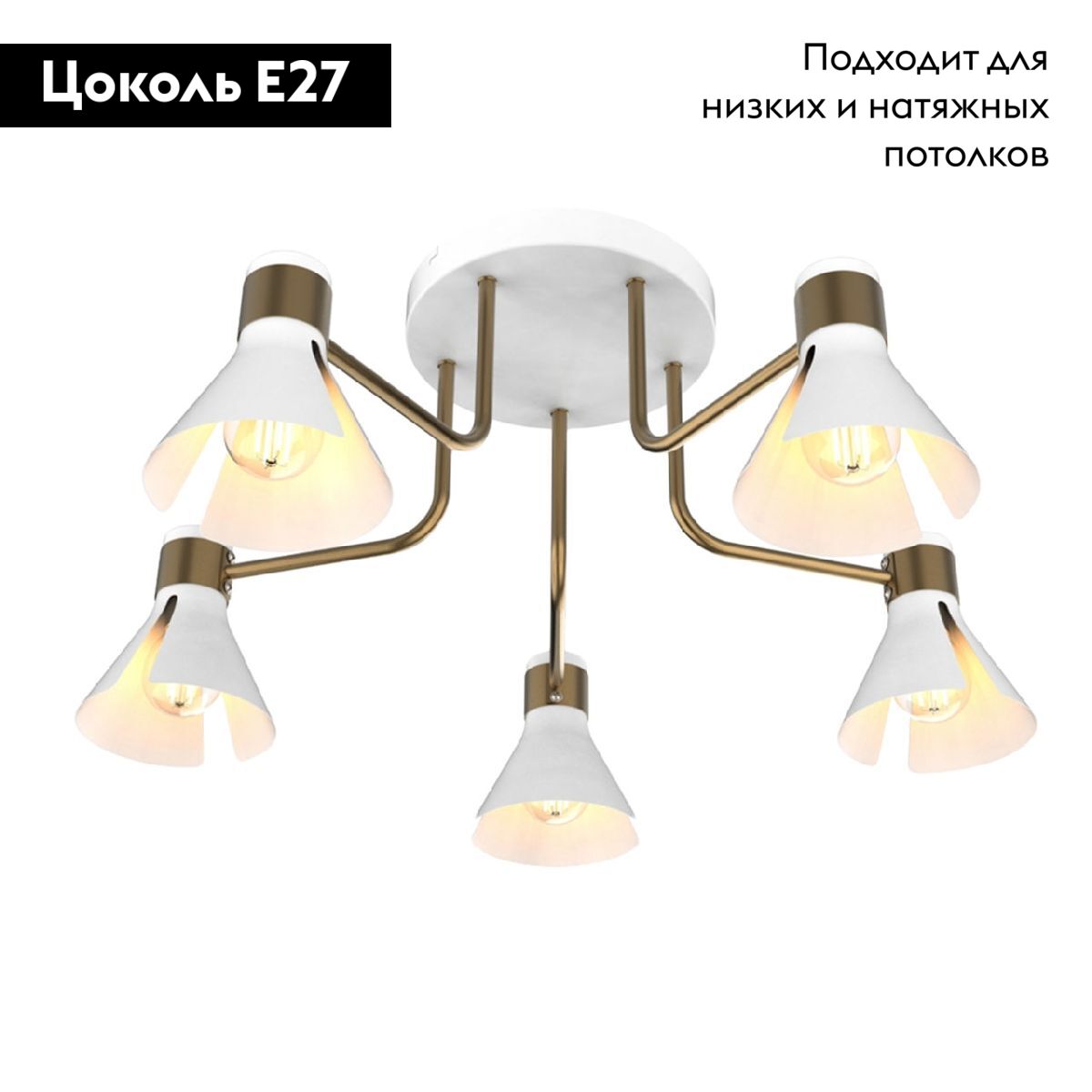 Потолочная люстра IMEX MD.8312-5-S-WH+AB