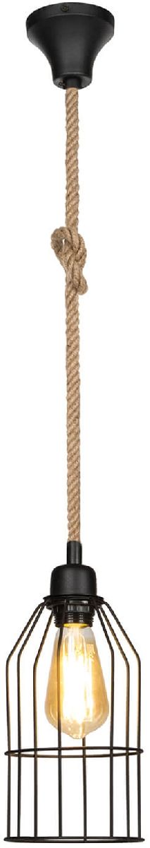 Подвесной светильник Toplight Alfreda TL1601H-01BK