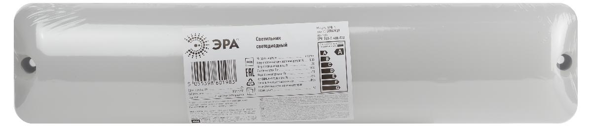Настенно-потолочный светильник Эра SPB-103-0-40K-020 Б0052939