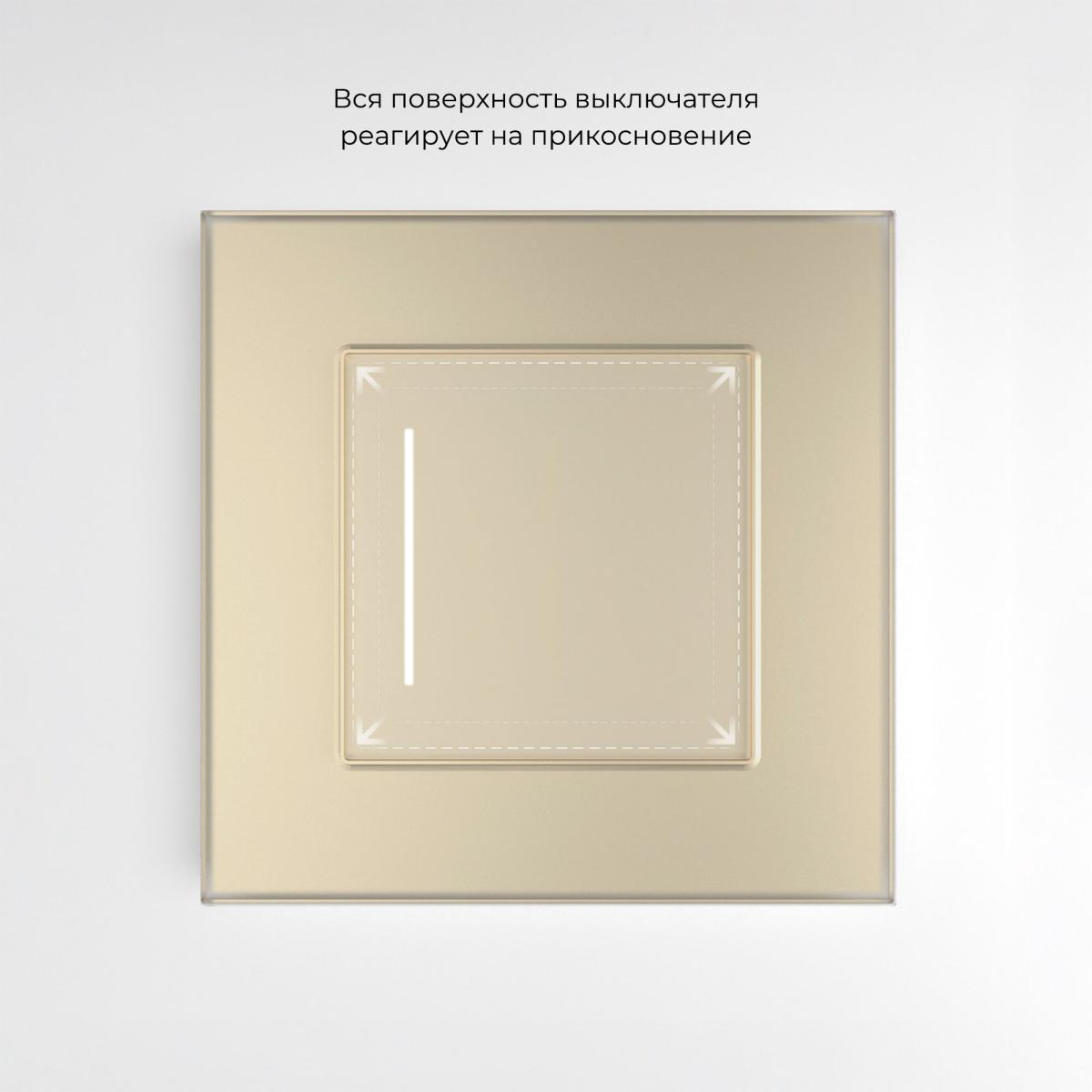 Умный сенсорный выключатель одноклавишный Werkel 4690389197925 W4513011 a064145