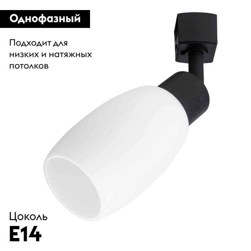 Светильник на шине ARTE Lamp A3055PL-1BK
