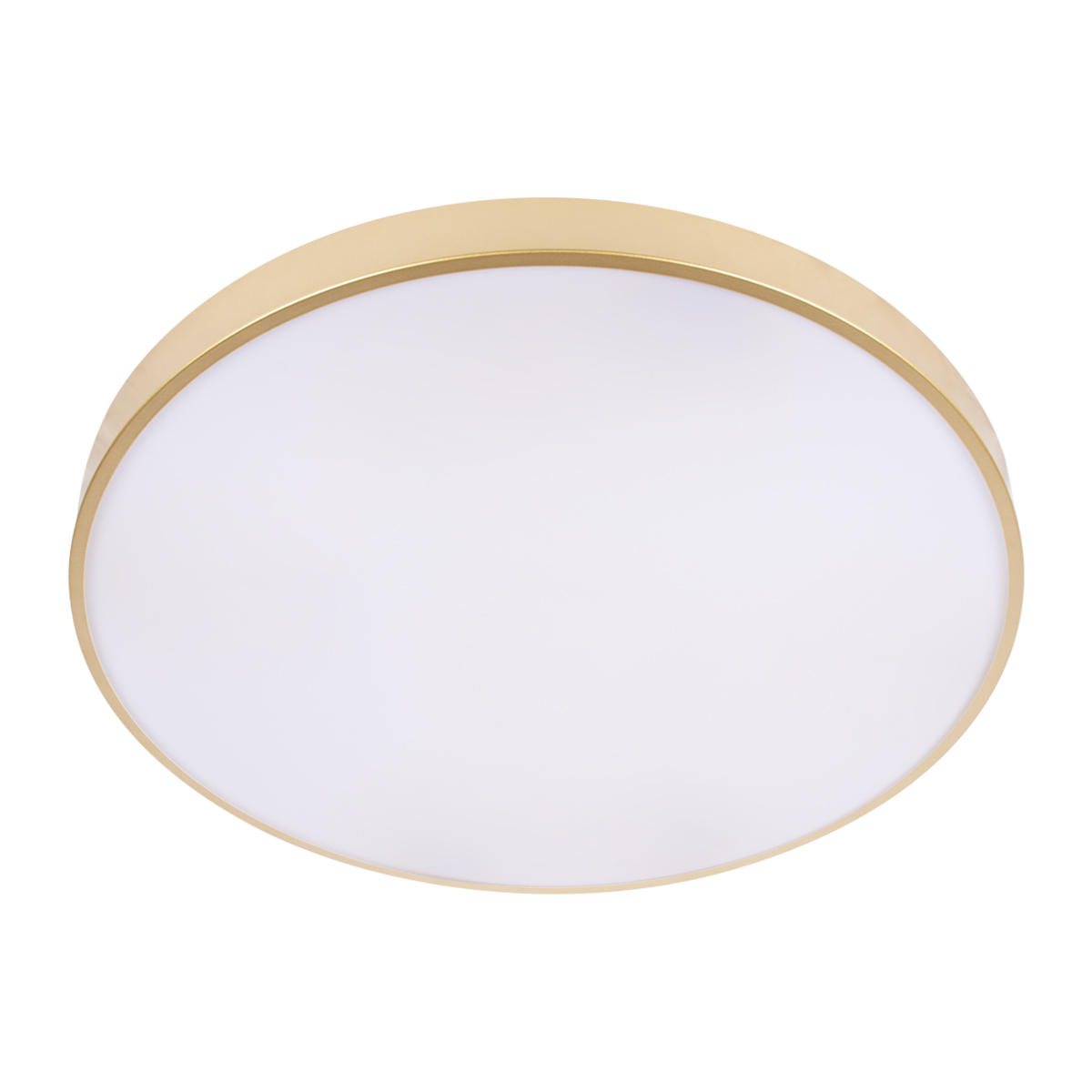 Потолочный светильник Loft IT Flims 10228/B