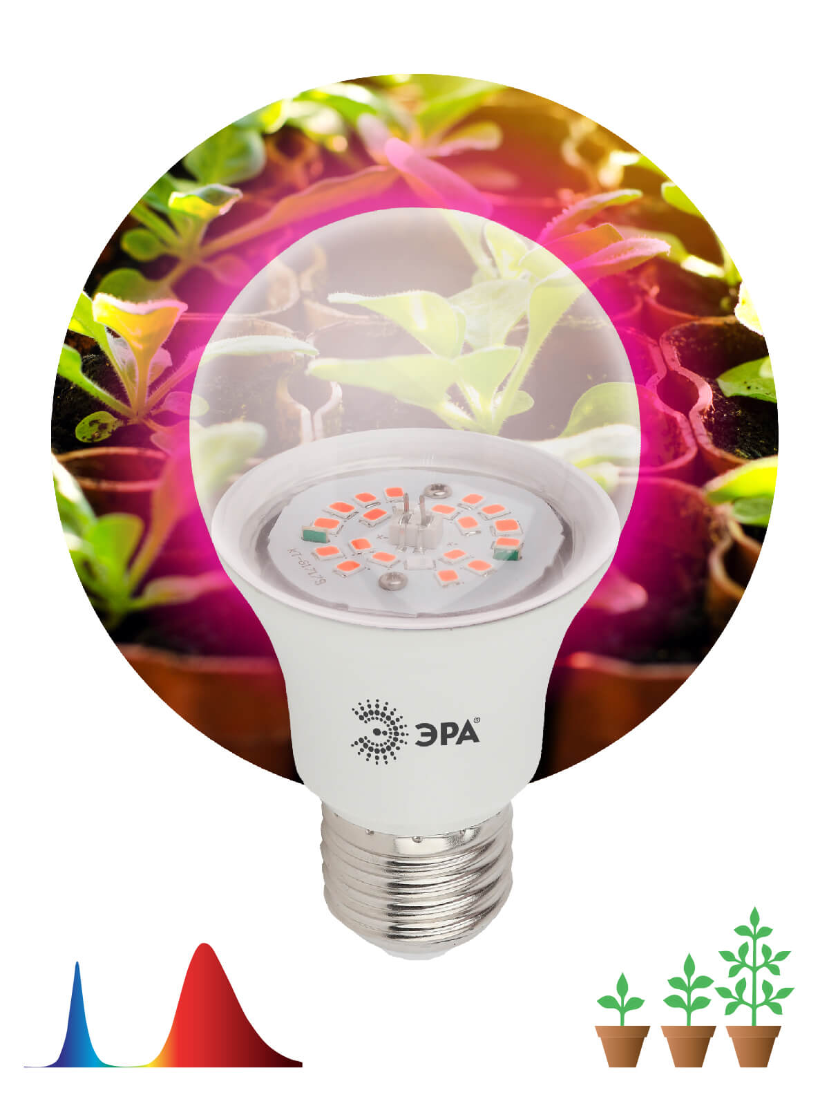 Фитолампа для растений светодиодная ЭРА E27 10W 1310K FITO-10W-RB-E27-K Б0039069