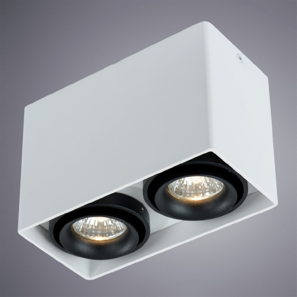 Потолочный светильник Arte Lamp A5655PL-2WH