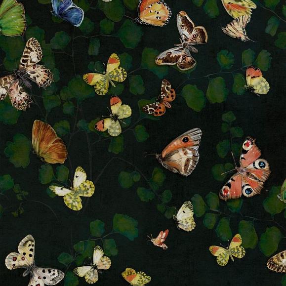 Обои Coordonne 9500050N Magic Butterflies Night