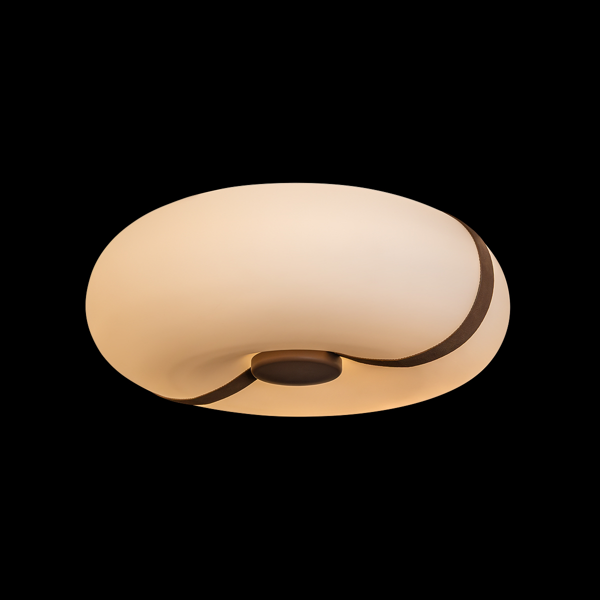Потолочный светильник LOFT IT Bolina 10473