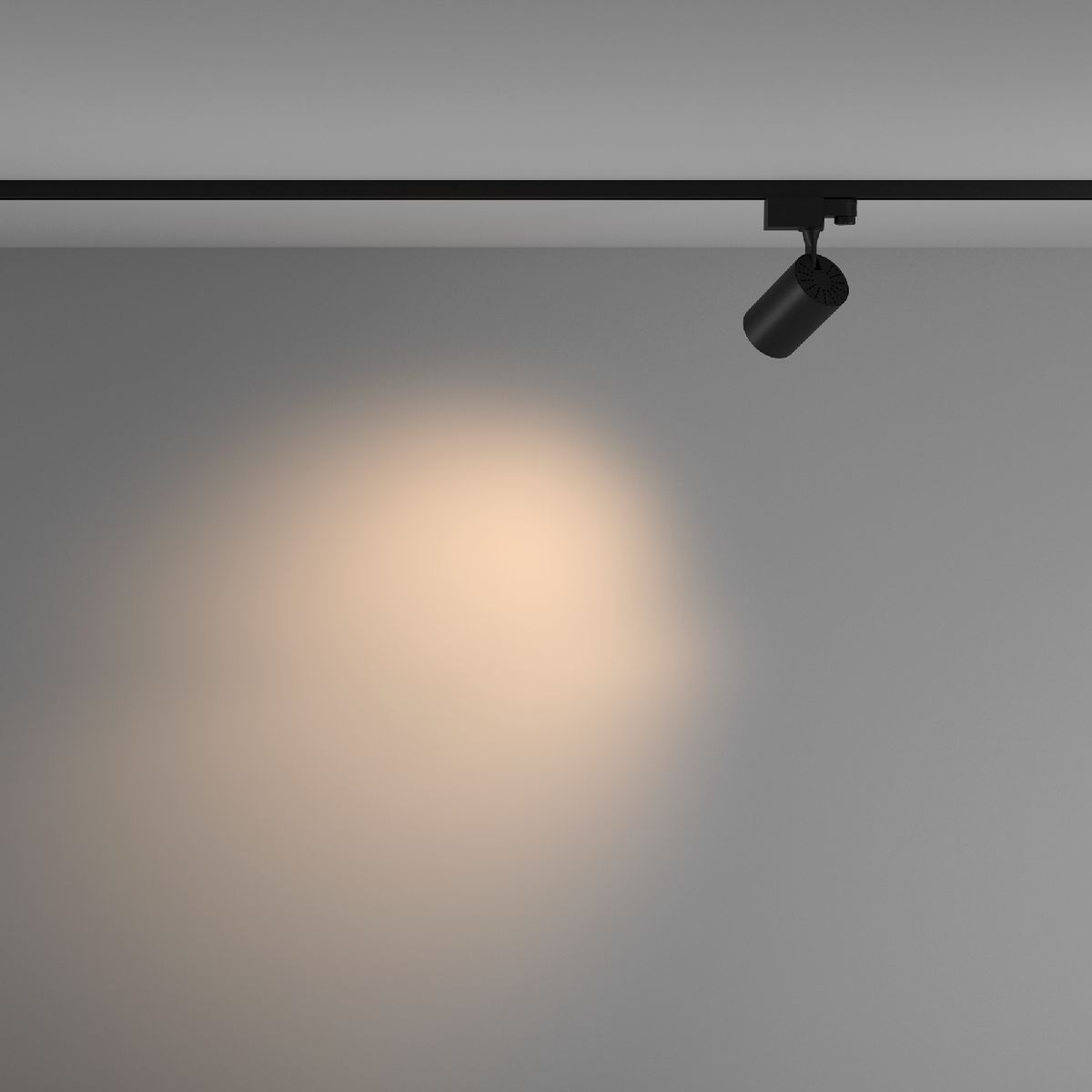 Трековый светильник Maytoni Technical Vuoro TR029-3-10W3K-M-B