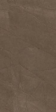Плитка Pulpis Brown W M 31x61 NR Glossy 1