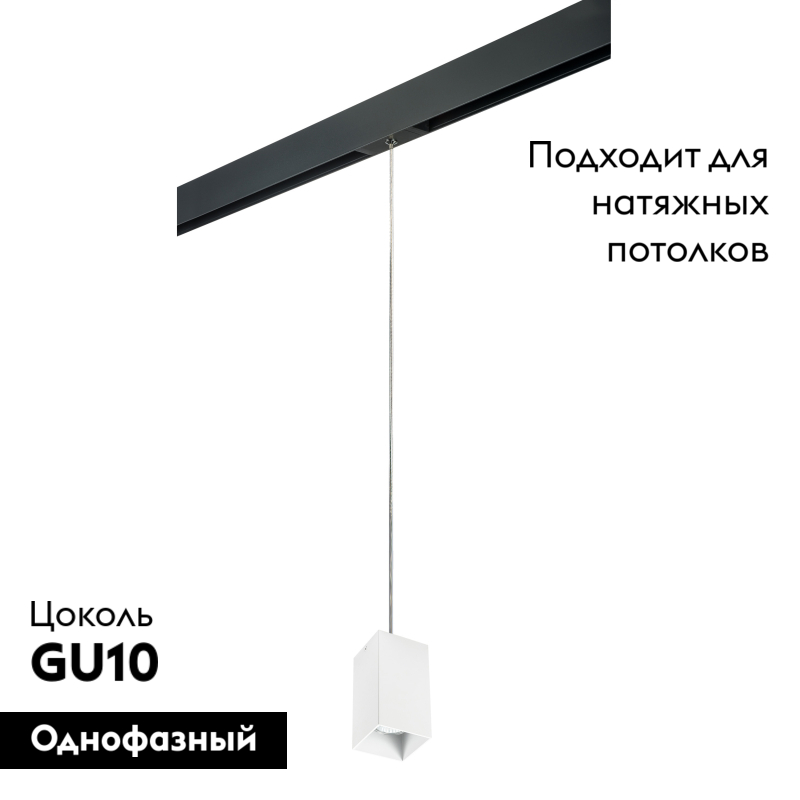 Трековый светильник Lightstar Rullo PRORP6586 (216586+595987)