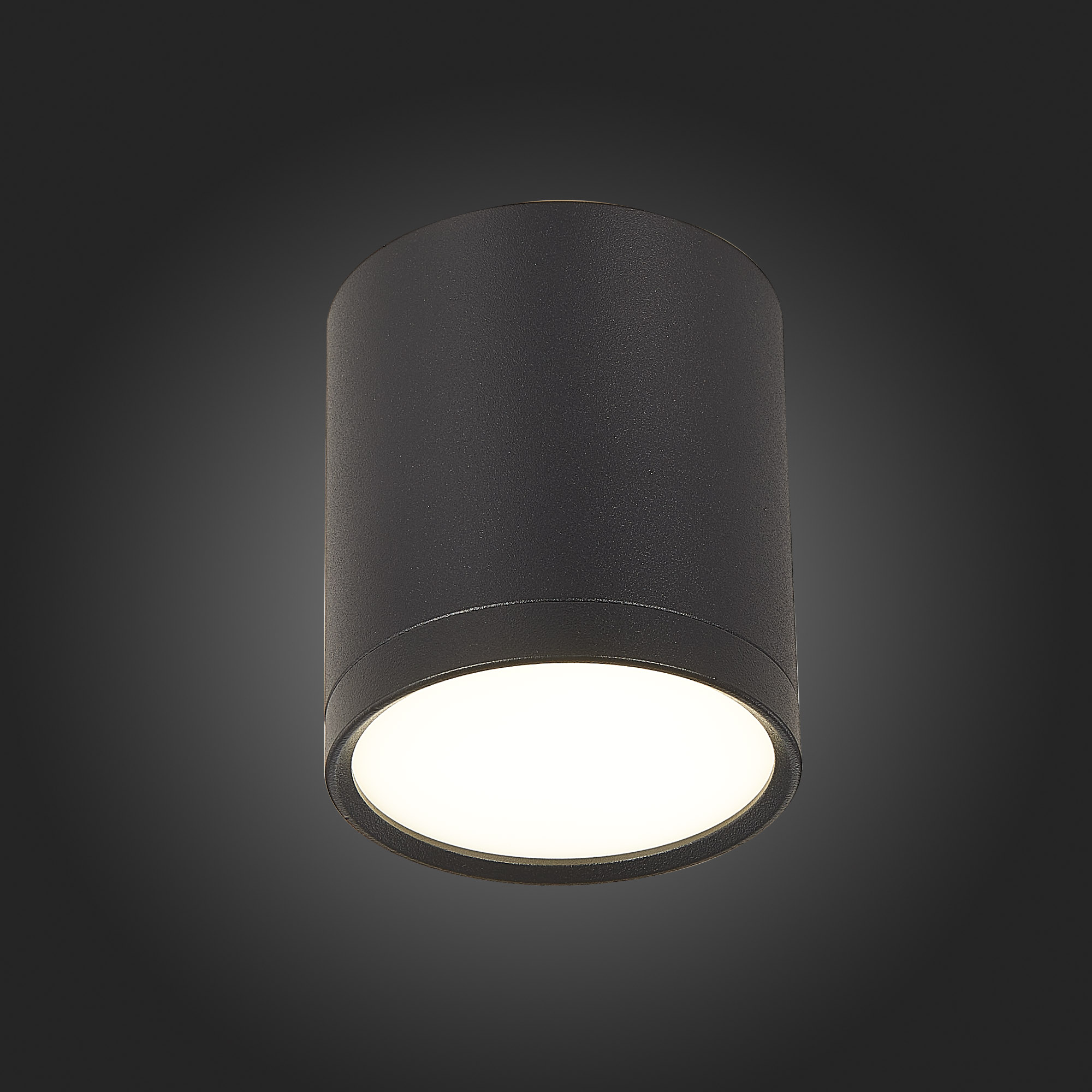 Потолочный светильник ST Luce Rene ST113.442.05