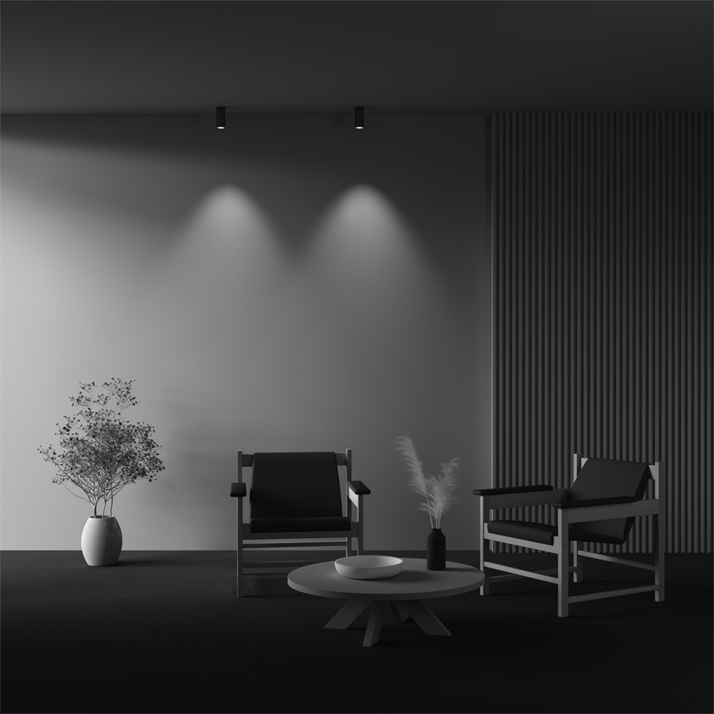 Накладной светильник Maytoni Focus LED C056CL-L12W3K-W-BS