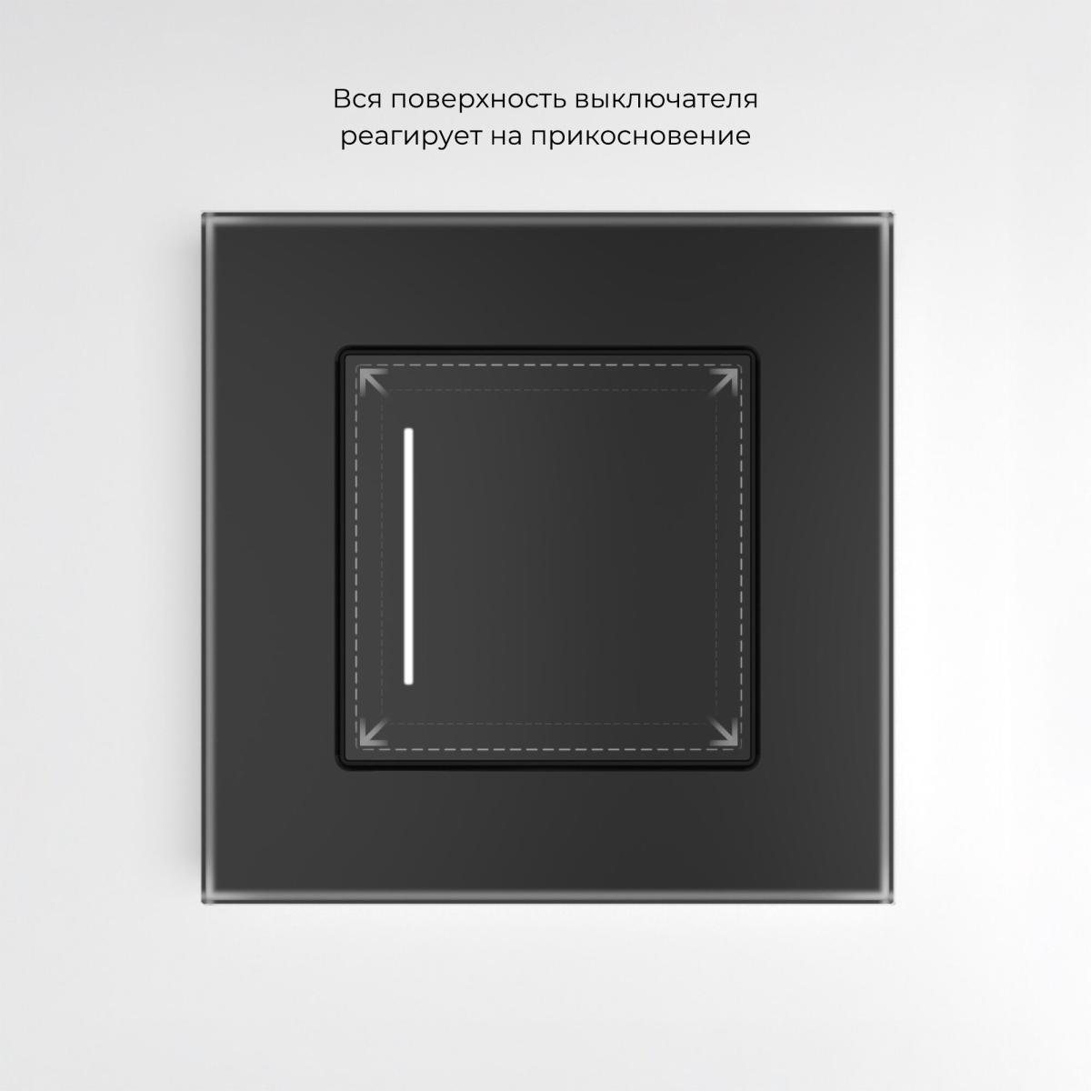 Сенсорный выключатель одноклавишный с подсветкой Werkel 4690389198007 W4512008 a063601