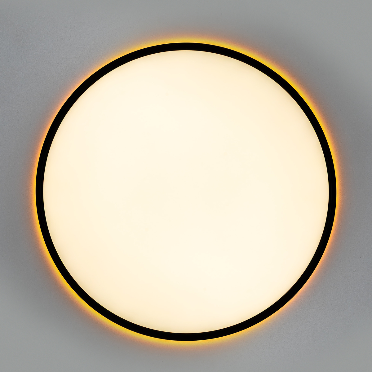 Потолочный светильник Citilux Norma LED RGB CL749501