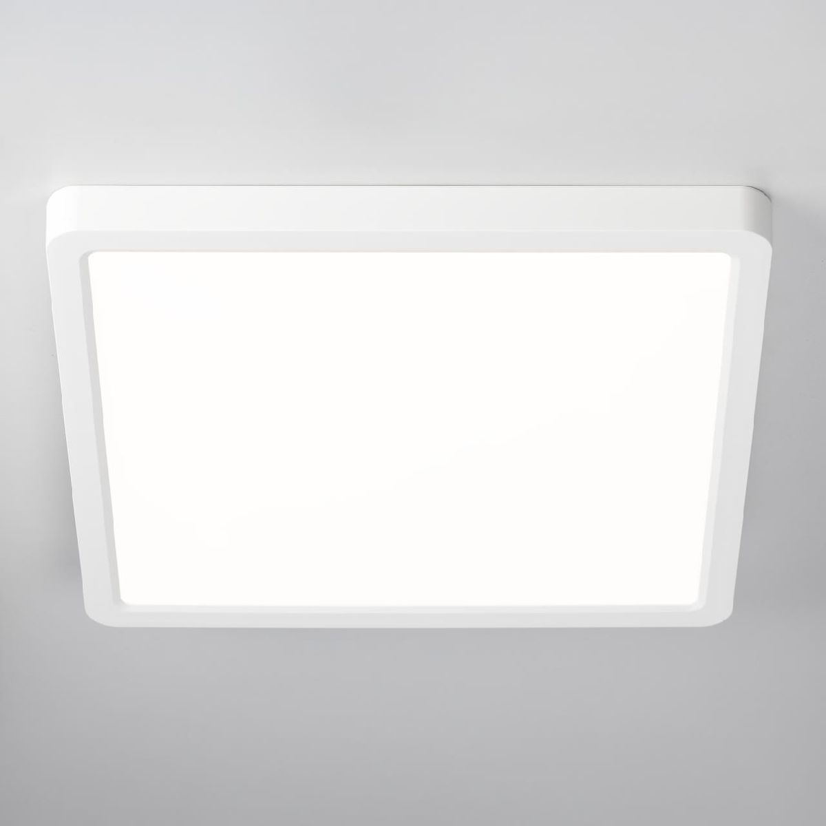 Потолочный светильник Citilux Бейсик CL738K240V