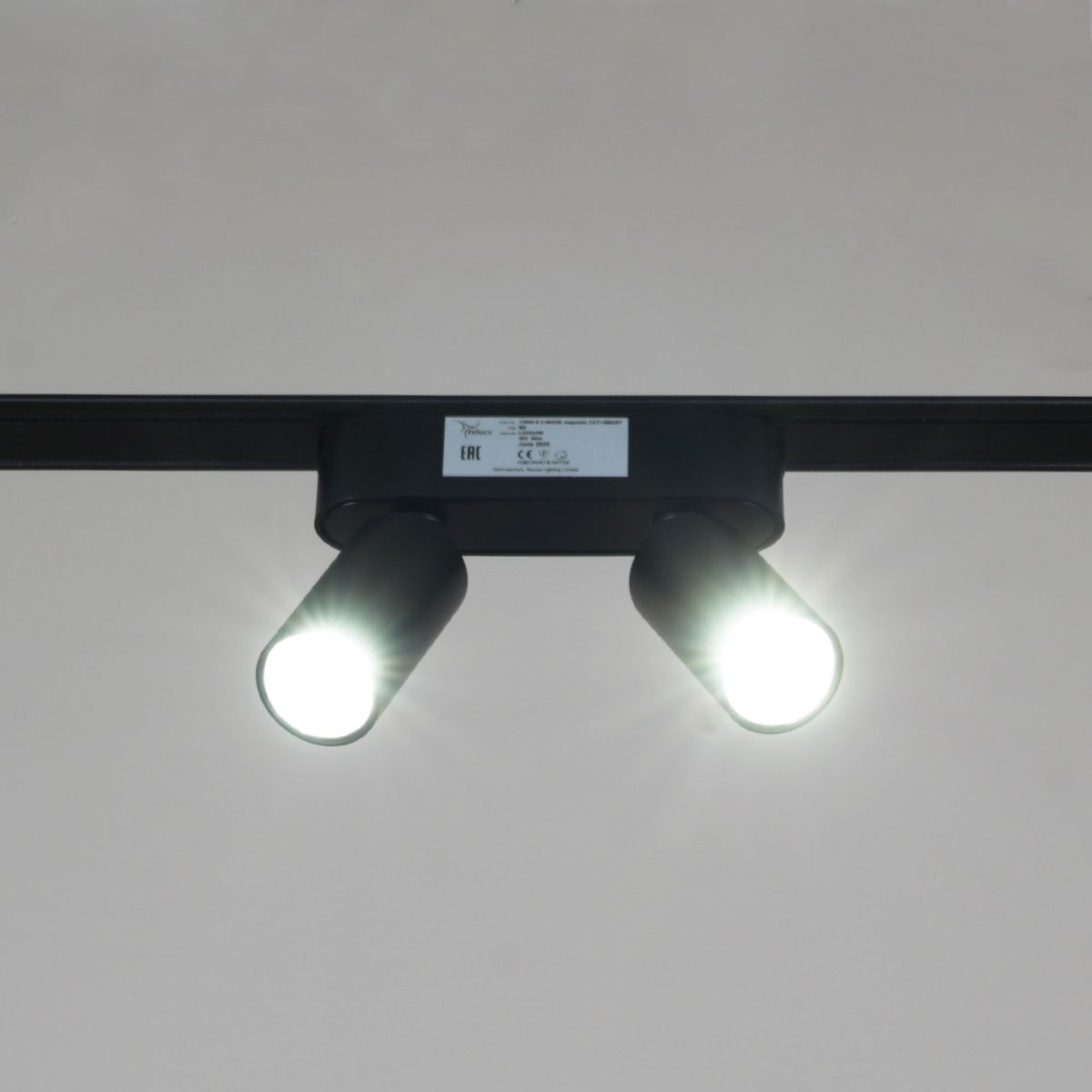 Трековый магнитный светильник (CCT+SMART) Reluce 13005-9.3-002UR magnetic LED2x5W BK CCT+SMART