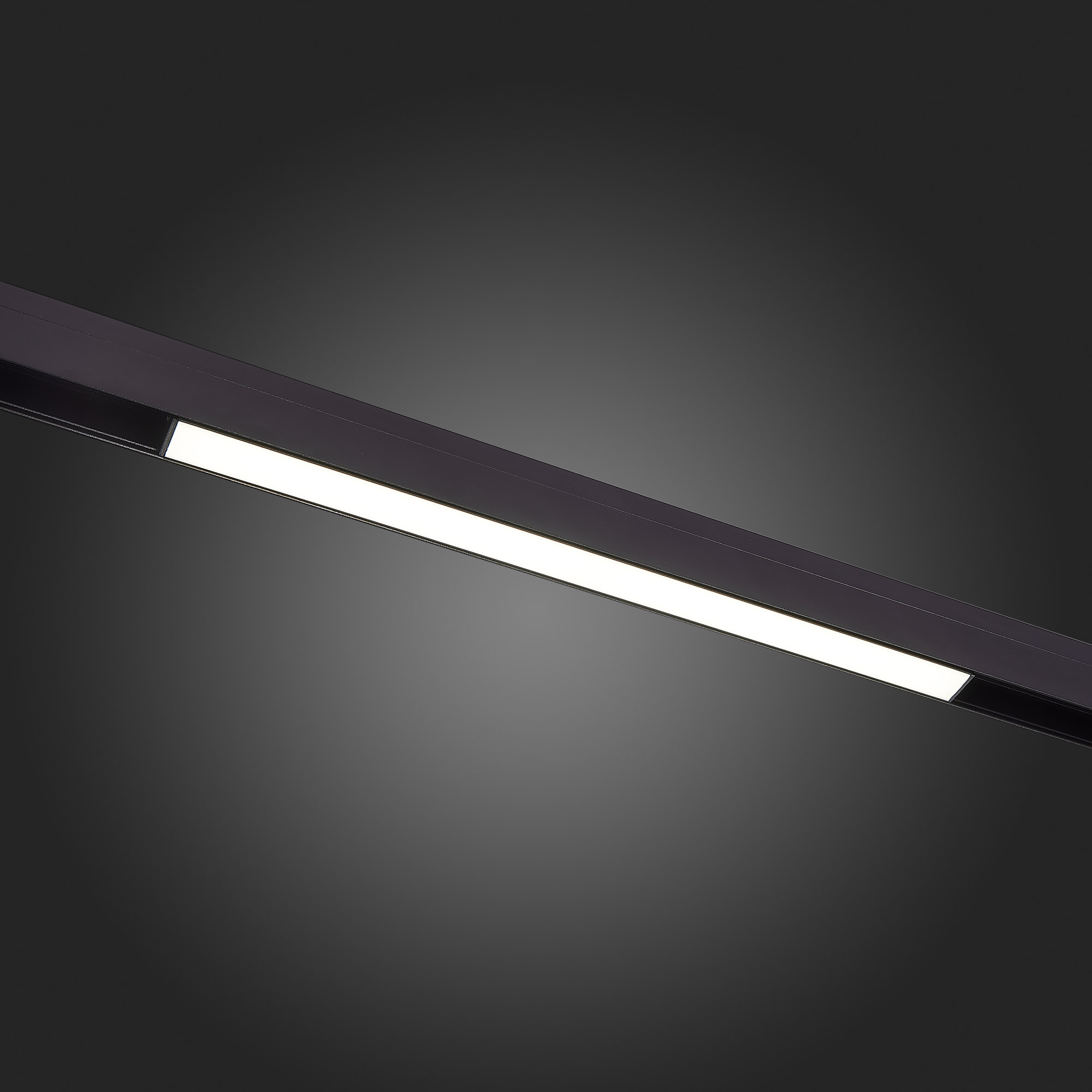 Трековый светильник ST Luce Standi ST360.436.12